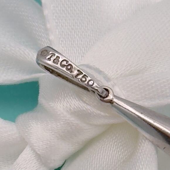 Tiffany & Co. 18K White Gold Feather Pendant Pendant Charm 750 Gift Pouch & Box - Picture 4 of 12